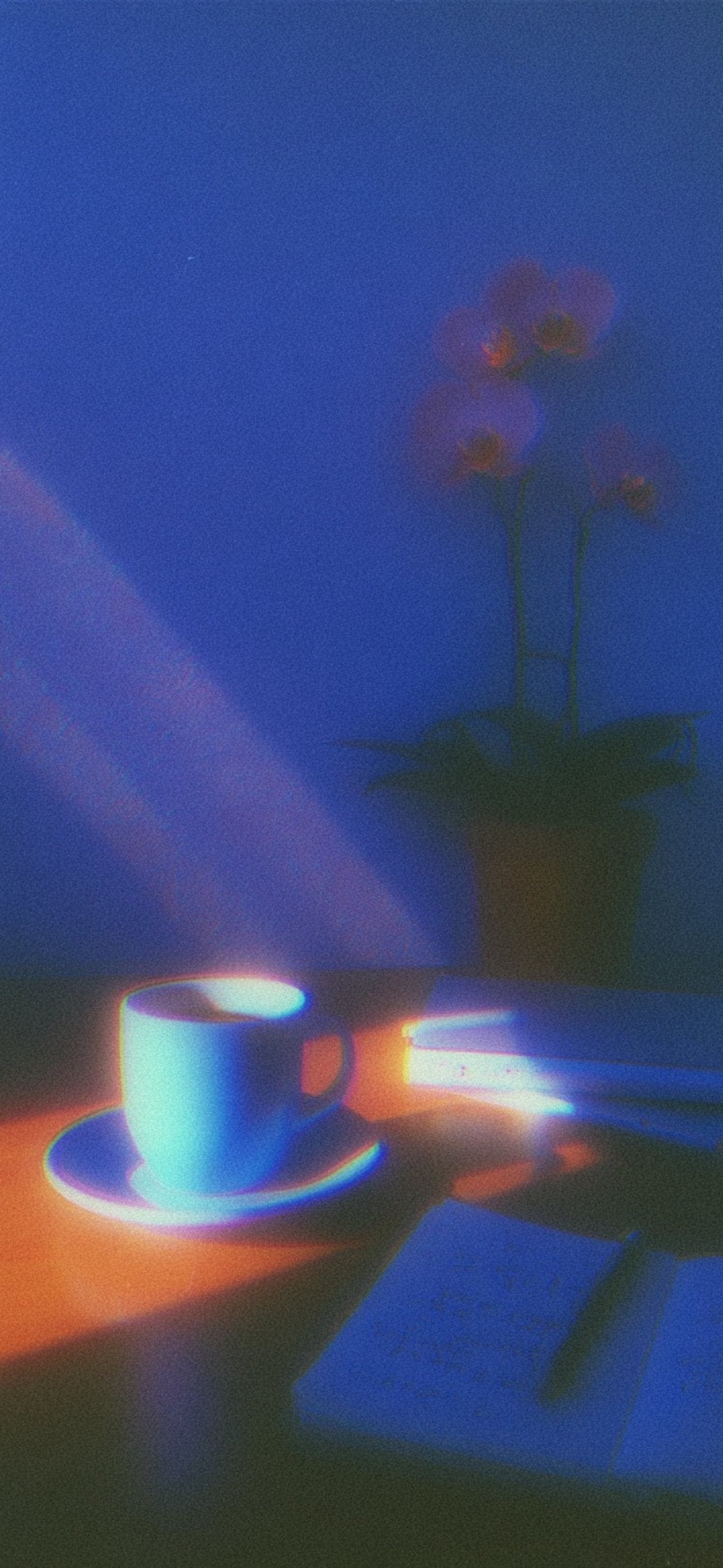 A coffee cup, notebook, and orchid on a desk in early light